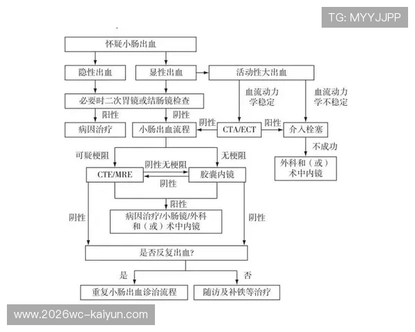 2026最新免费申请SSL证书全流程指南助你网站安全快速上线