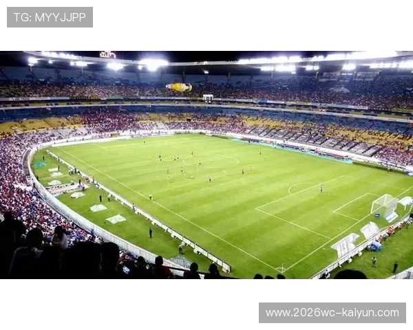 足球场地尺寸标准解析与全球各大赛事场地设计差异探讨